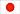Japonese version of the website about this charitable organization.